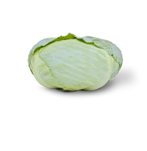 DISCOS F1 lapos fejes káposzta 2500 szem