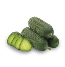 MALIKA F1 szemölcsös csemegeuborka 500 szem