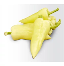 CARMA F1 fehér, töltenivaló paprika 500 szem