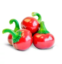 GLOBÁL cseresznyepaprika 10 000 szem