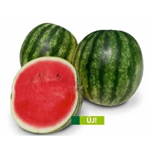 grizzly f1 görögdinnye