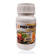 Perv Gold Garden Perv Gold Garden