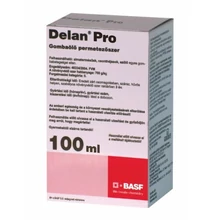 delan delan