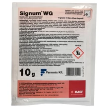 signum signum