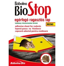 ragsztós egércsapda