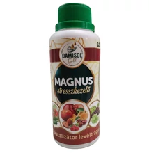 damisol magnus