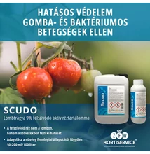 scudo  scudo