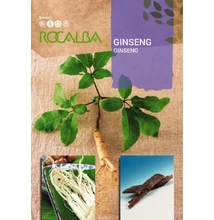 Ginseng