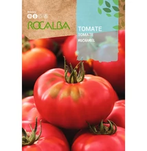 Paradicsom - Muchamiel Paradicsom - Muchamiel