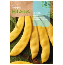 Supernano Giallo bokorbab