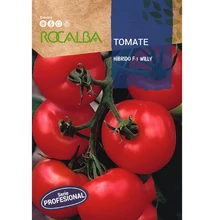 Paradicsom - Willy F1 Paradicsom - Willy F1
