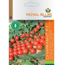 paradicsom paradicsom