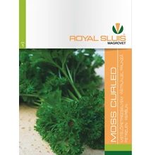 Fodros petrezselyem Moss Curled