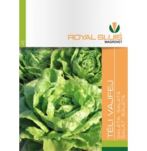 Téli vajfej saláta Téli vajfej saláta