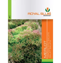 Great Lakes jégsaláta Great Lakes jégsaláta