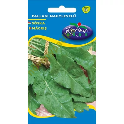 Pallagi nagylevelű sóska