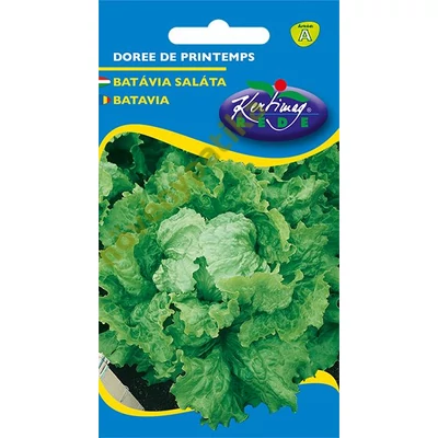 Attrakció saláta