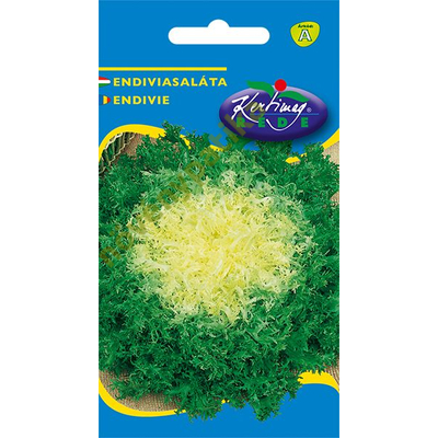 Endívia saláta  