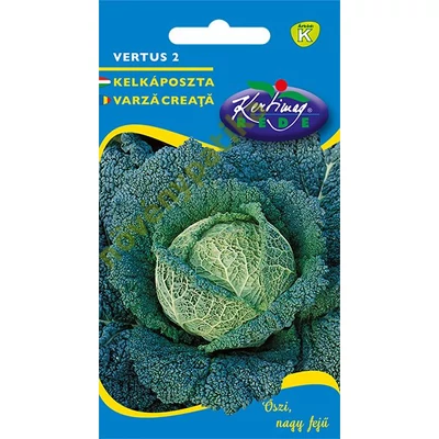 Vertus kelkáposzta