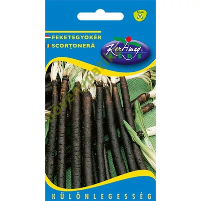 Feketegyökér
