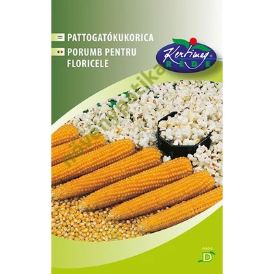 Pattogatni való kukorica