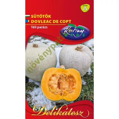 Orange sütőtök