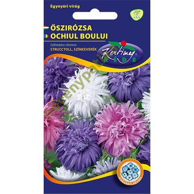 Őszirózsa Strucctoll színkeverék