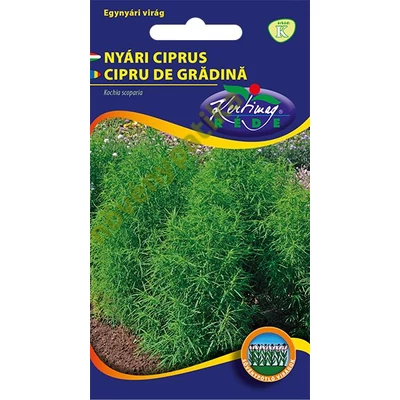 Nyári ciprus