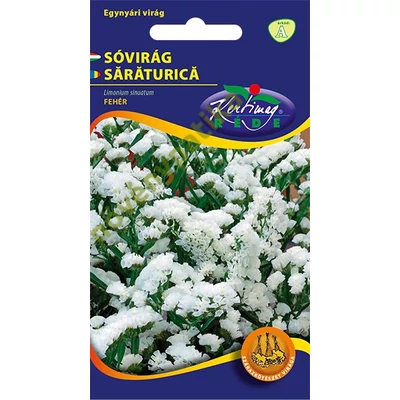 Sóvirág egynyári - Limonium Fehér