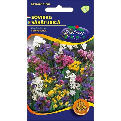 Sóvirág egynyári - Limonium Színkeverék