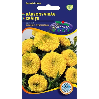 Bársonyvirág nagyvirágú citromsárga