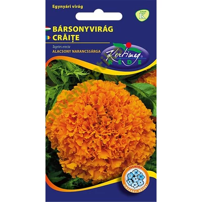 Bársonyvirág nagyvirágú narancssárga