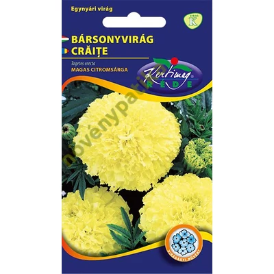 Bársonyvirág kisvirágú Citromsárga