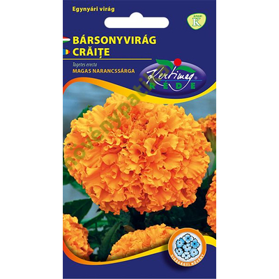 Bársonyvirág kisvirágú Narancssárga