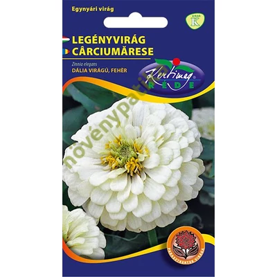 Rézvirág - Zinnia Dahlia virágú Fehér