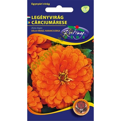 Rézvirág - Zinnia Dahlia virágú Narancs