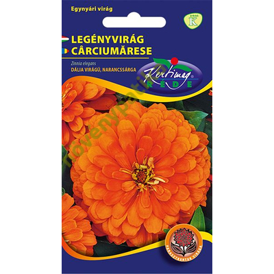 Rézvirág - Zinnia Dahlia virágú Narancs