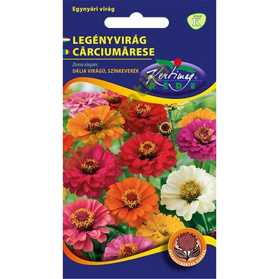 Rézvirág - Zinnia Dahlia virágú Színkeverék