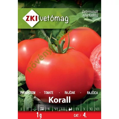 Korall paradicsom