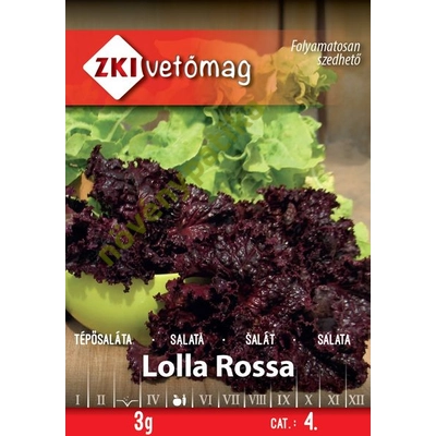 Lolla Rossa saláta