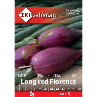 Long red Florence lila sonkahagyma