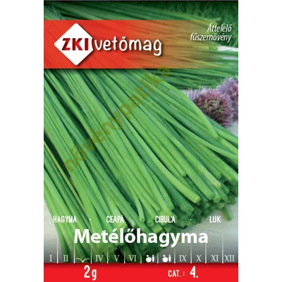 Metélőhagyma