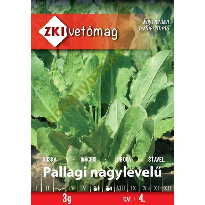 Pallagi nagylevelű sóska