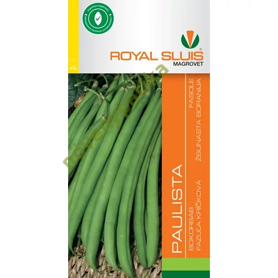 Paulista zöldbab