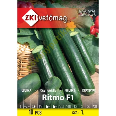 Ritmo F1 uborka 10 szem