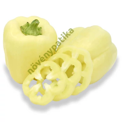 TARA F1 paprika 500 szem