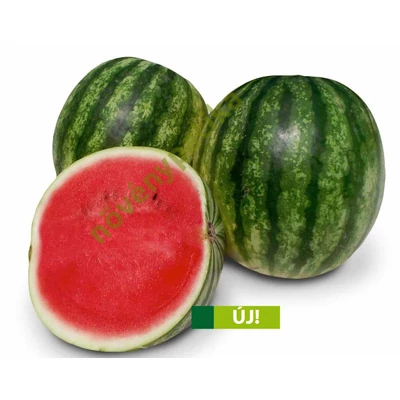 grizzly f1 görögdinnye