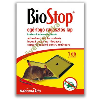 ragsztós egércsapda