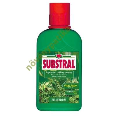 Substral tápoldat zöld növényekhez és páfrányokhoz 500 ml