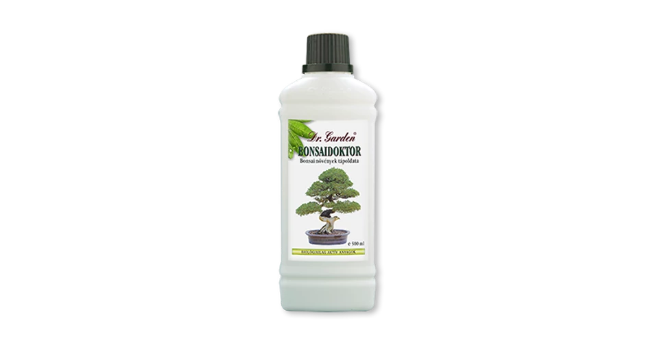 bambus thailand Dendrocalamus sp. Thai Bamboo Seeds – Bamboo Seed Shop main image 1